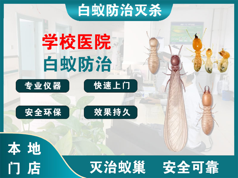 平阳学校医院白蚁防治