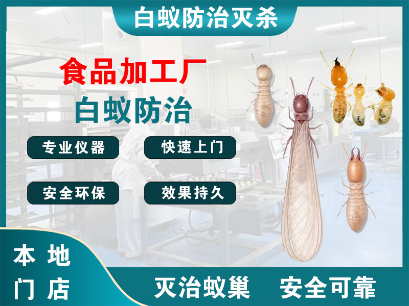 平阳食品加工厂白蚁防治