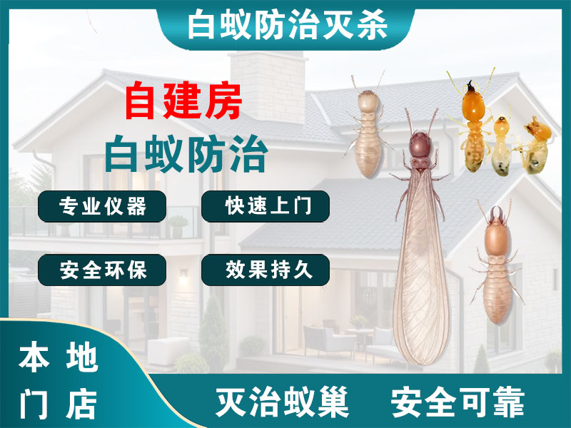 平阳自建房白蚁防治