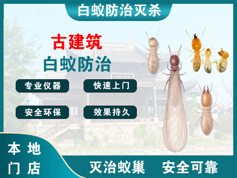 平阳古建筑白蚁防治