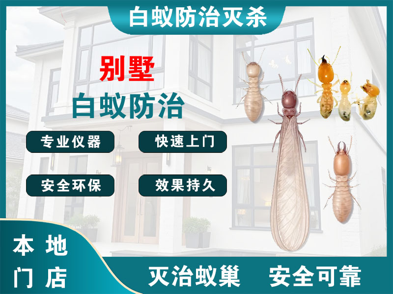 平阳别墅白蚁防治